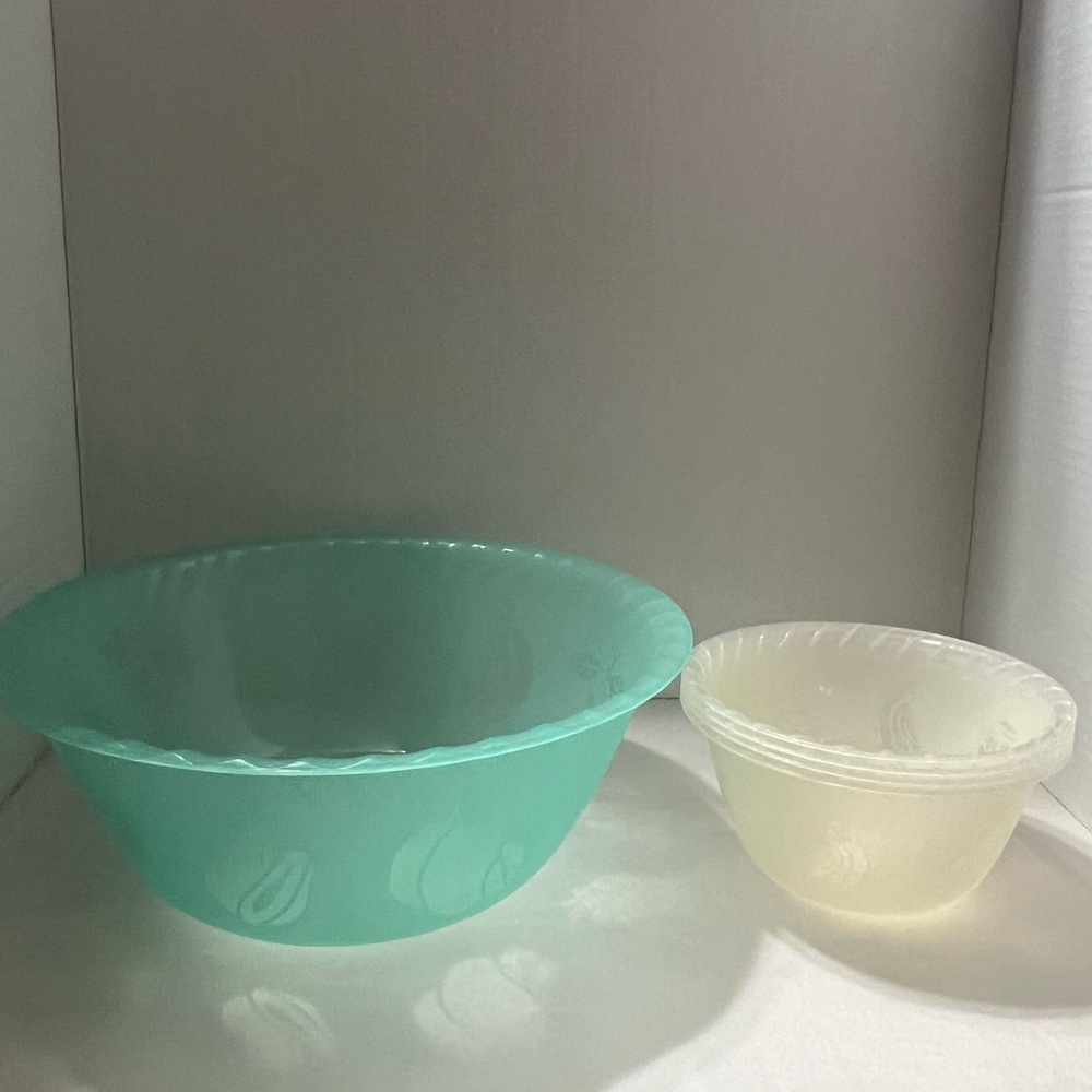 Plastic Bowl Set - 1 Large and 4 Small